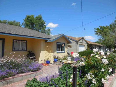 4 front garden 2 5-14